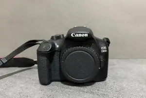 stock