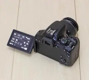 stock