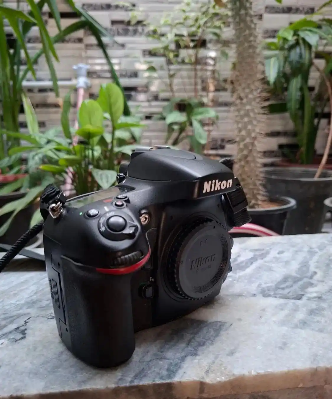 دوربین نیکون d800 دست دو