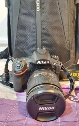 stock