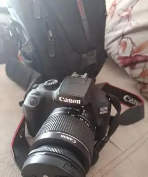 stock
