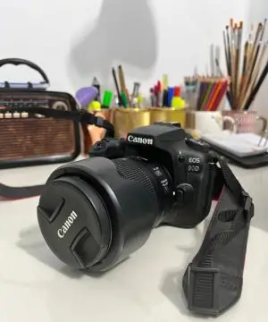 stock