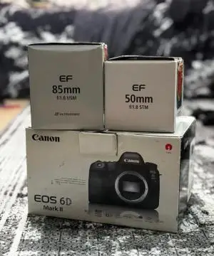 stock