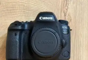 stock