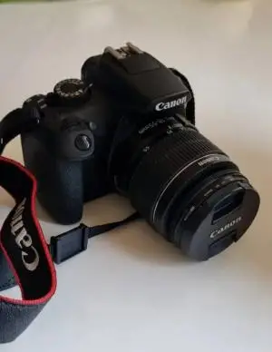 stock