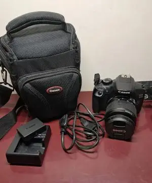 stock