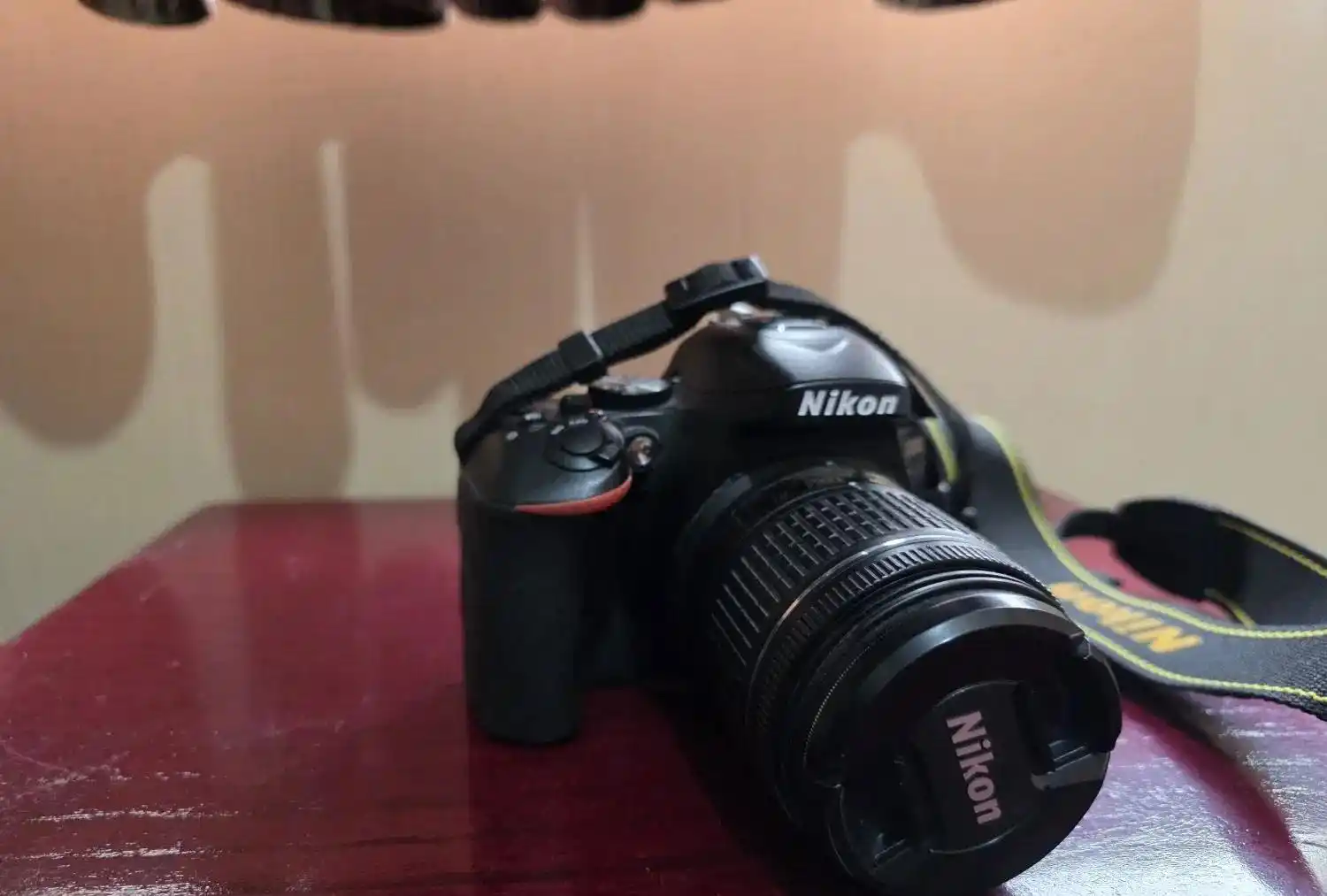 دوربین nikon d5600 دست دو