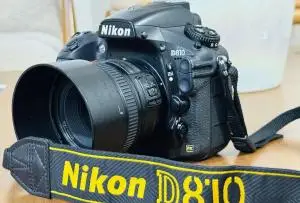 stock
