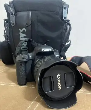 stock