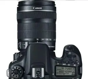 stock