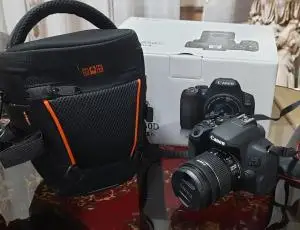 stock