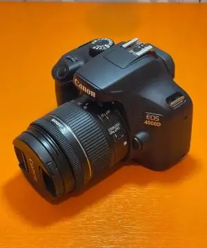 stock