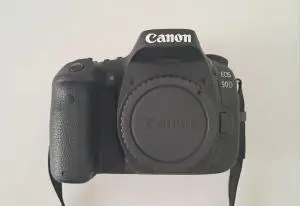 stock
