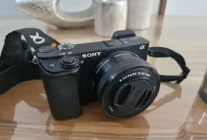 stock