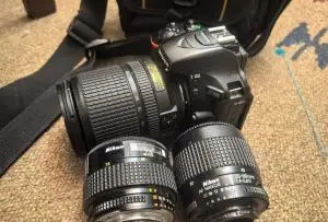 stock