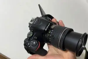 stock