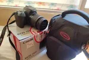 stock