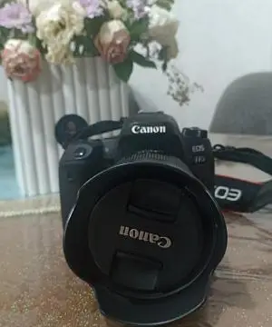 stock