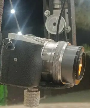 stock