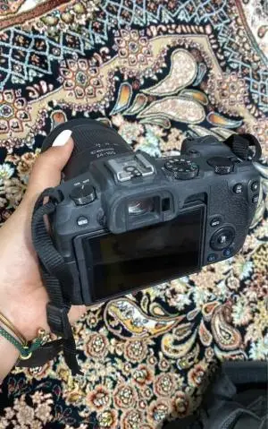 stock