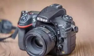 stock