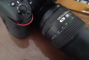 stock