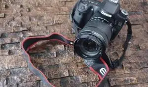 stock
