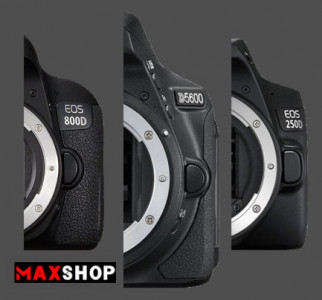 250D - D5600 - 800D camera comparison